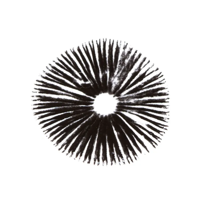 Spore Print